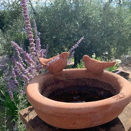 Occasus - Casale Con Piscina - Ad Galli Cantum Daire